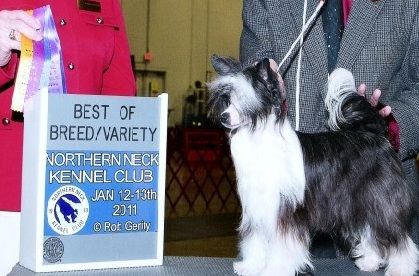 XO's Why Because I Love You