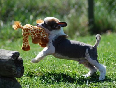 Jean Dark For Your Eyes Only