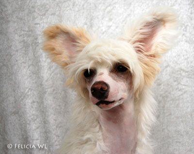 Jean Dark Friday I'm in love