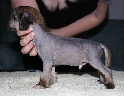 Fiabella's Tape It Or Glue It