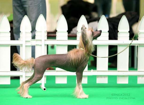 Olegro Katrin Roxolana