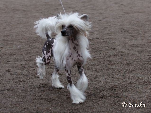 Zodellin A Hard Day's Night