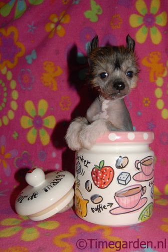 Timegarden Mix It Up