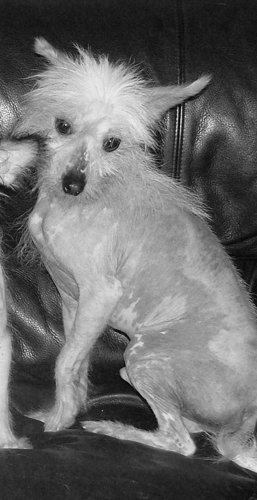 Peter Johns Soul Keeper