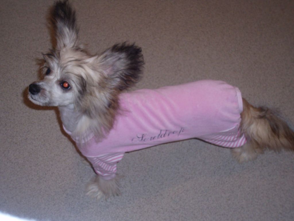 Zanjero's On Es Tee with Souldrop