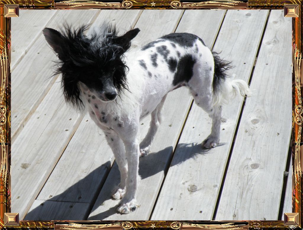 Outlaw's Lonesome Cowgirl