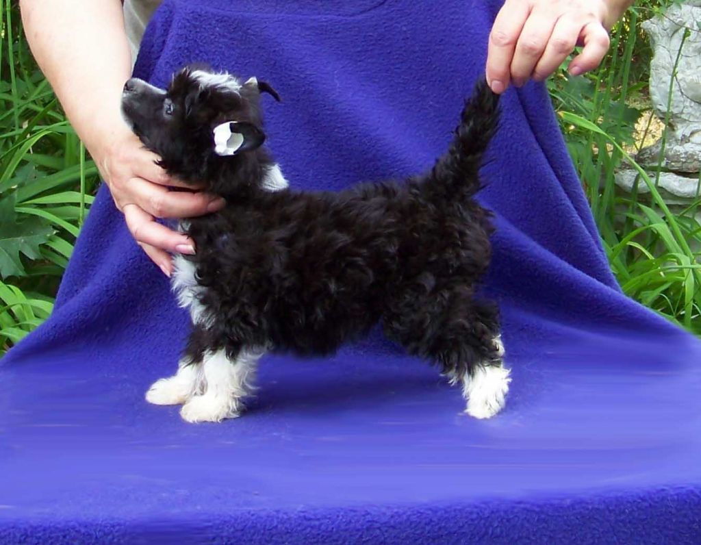 Spiritual Mercy Mercy Me