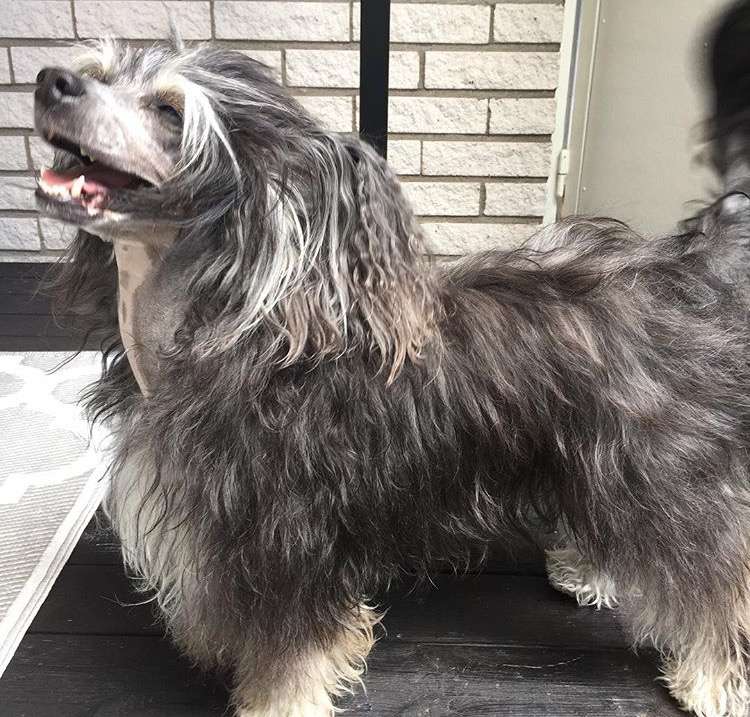 Beauty Of Xlnz Three Million Miles