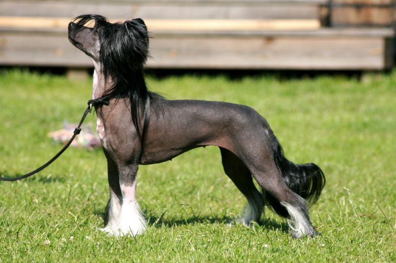 Sea Fire's Can't Buy Me Love