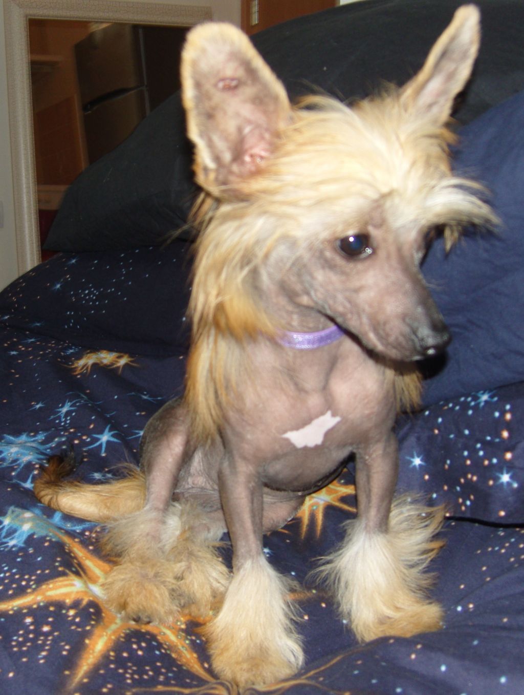 Bravery Jewel  Queen Malverne