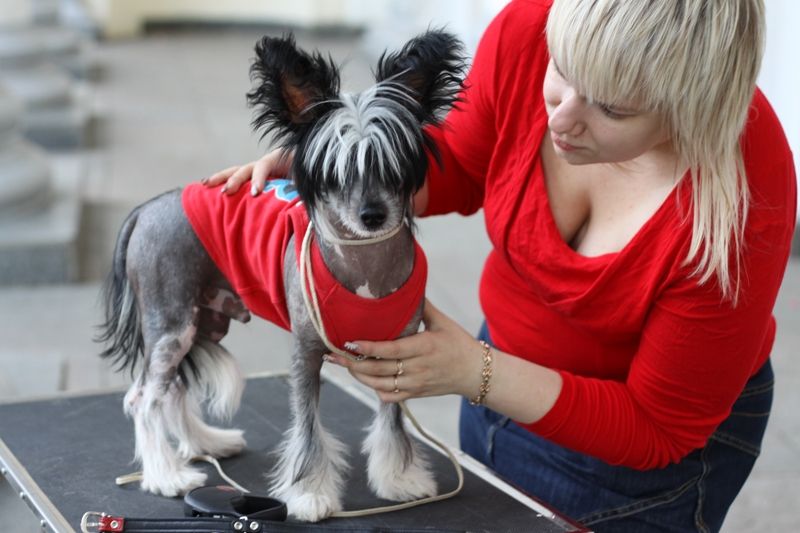 William Velikolepniy