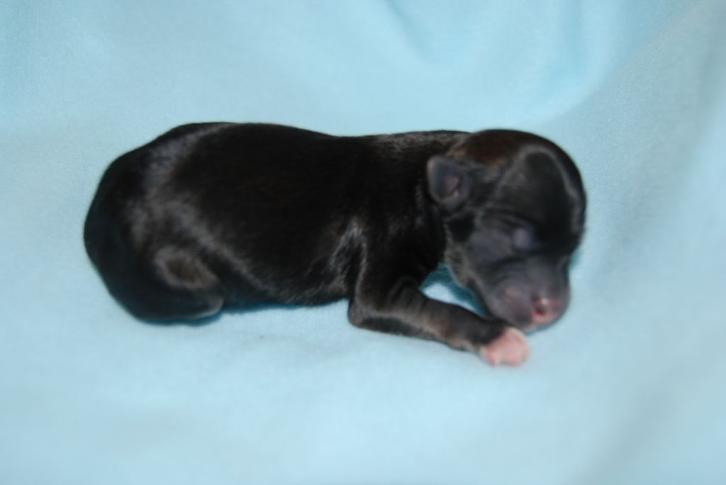 Love From Tecco's Brooke