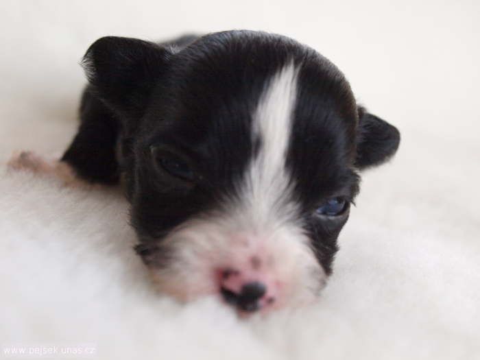 U ze Zatopené chajdy