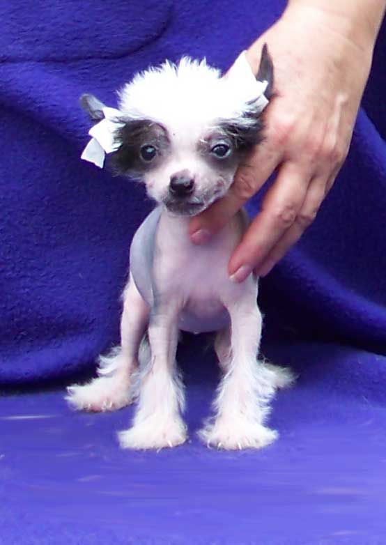 Spiritual Diamond Tiara