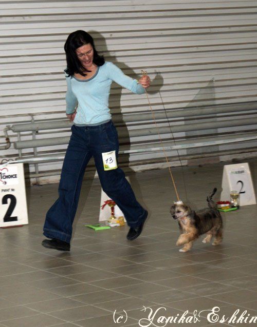 Chaina Dzhedai Impozantnaya Puffa