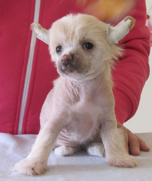 Tiffabellz Heartbreaker