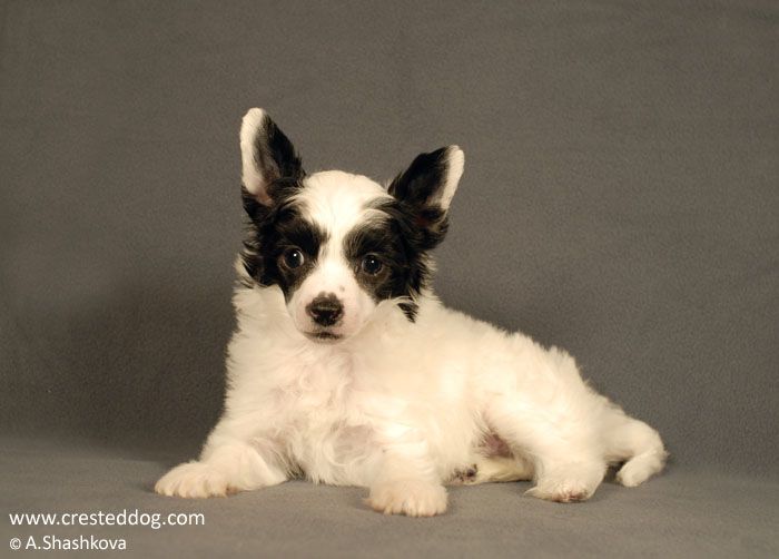 Angel Look Nice Advice