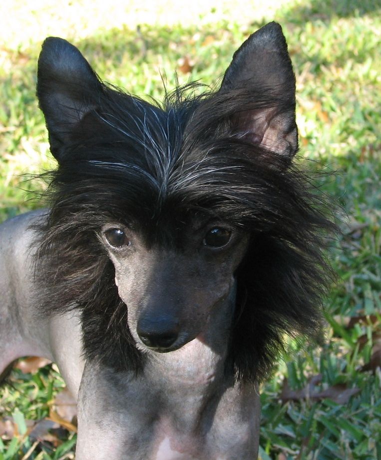 Legends Some Like It Hot