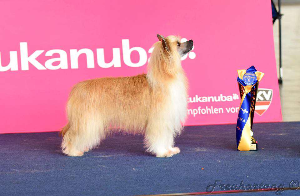 Fairy Tale z Teramonu