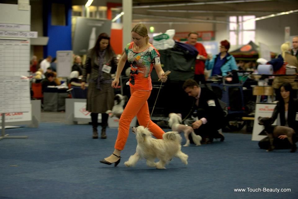 Timegarden Mystic Mint