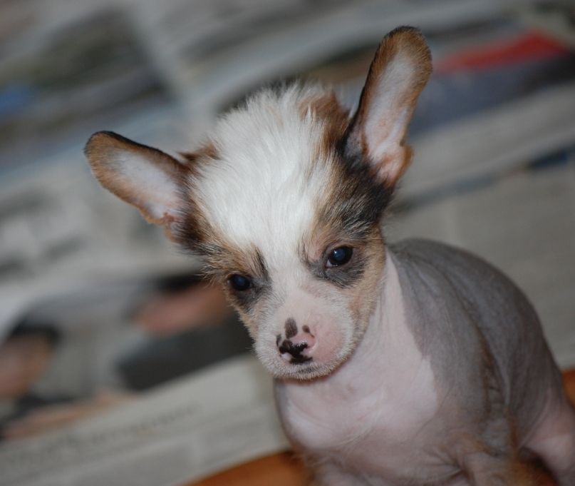 Soldalens  Je er Sun