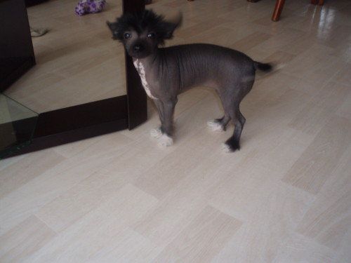 Feeling du domaine du soleil