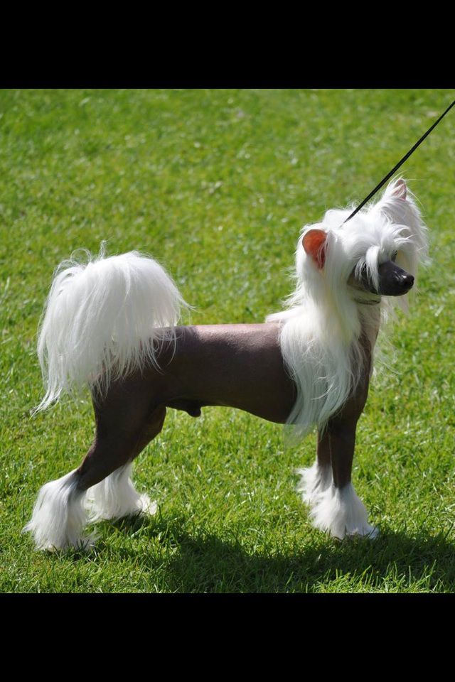 De La Mahafu's Mr We Did It