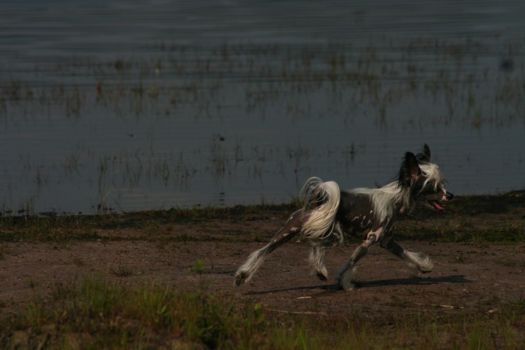Heavenly Devil Of Diamond Place