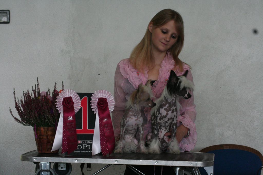 Happy Flower Of Diamond Place