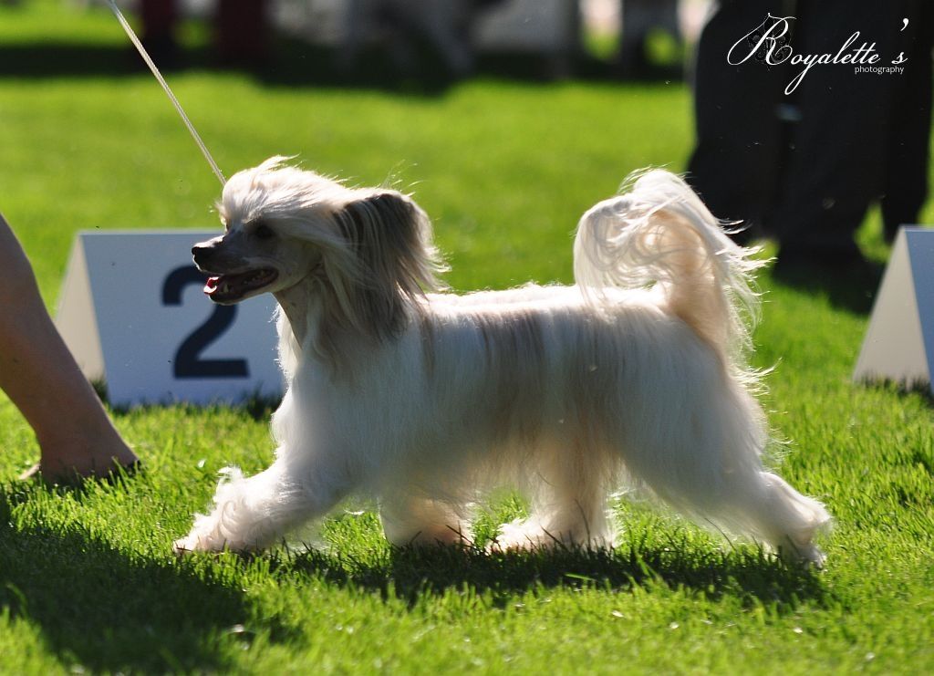 Valanyan The Fame Monster