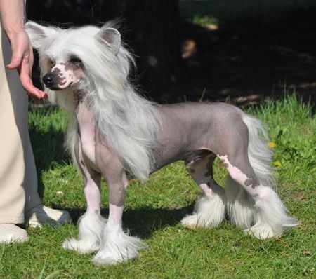 Twice as Nice The Matrix