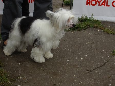 Premier Mari Argentina.