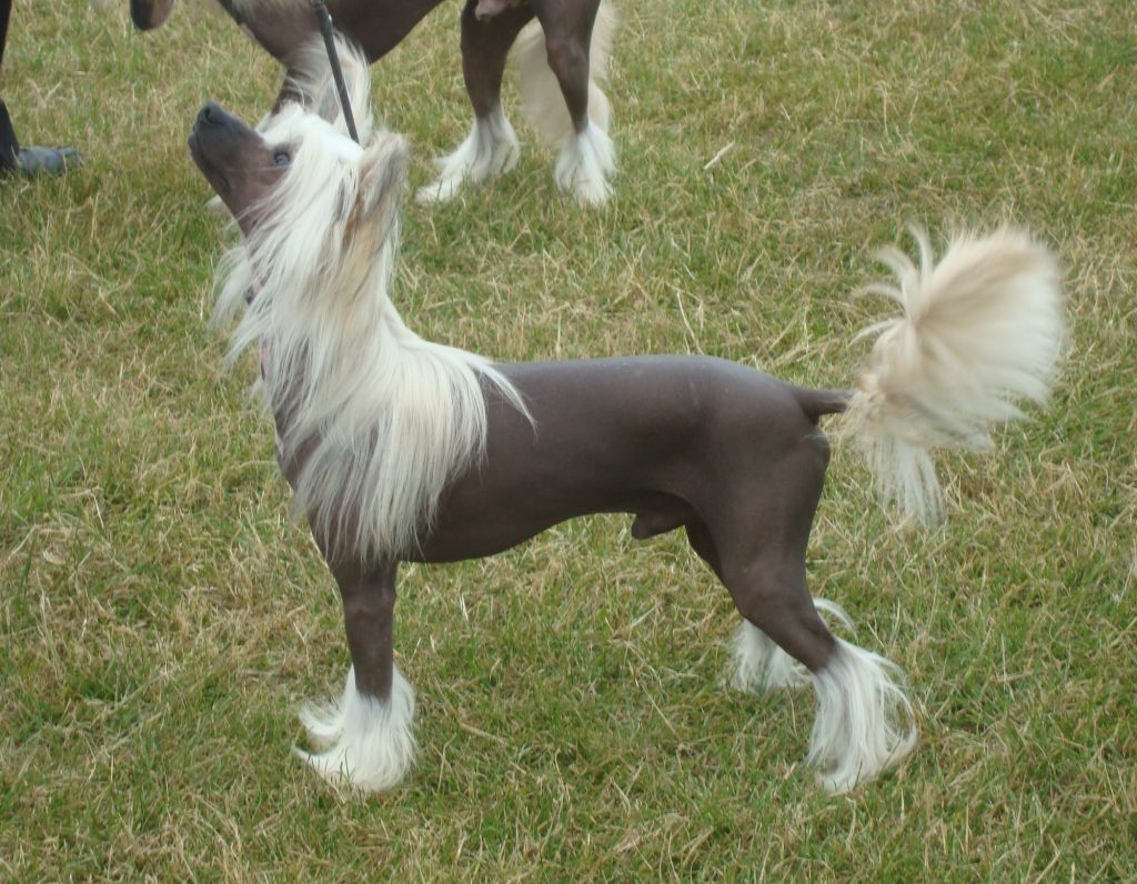 Zanjero's designed to defy