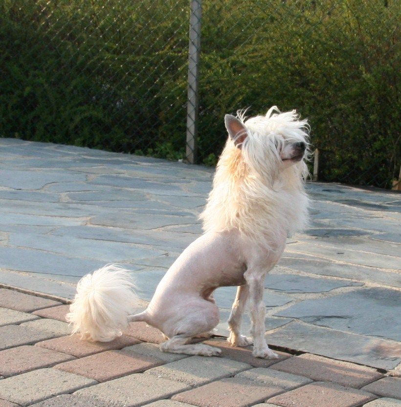 Absolute Souls Somebody To Love