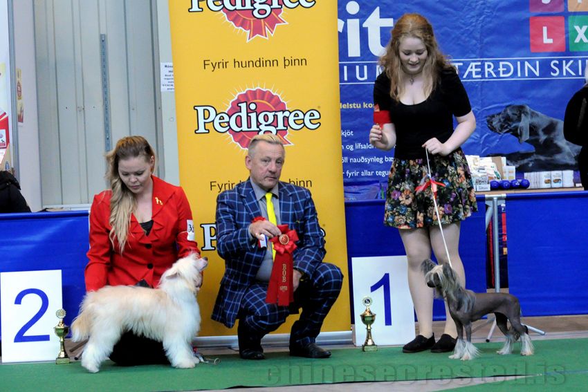 Practical Hero Nicole Kidman