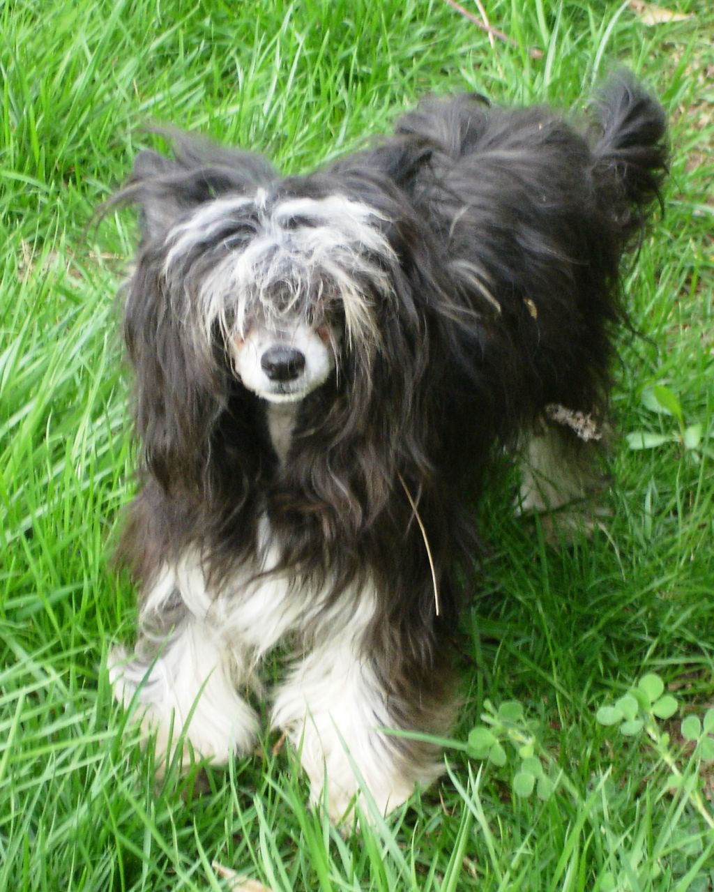 Just sweets kisses de Almamasan