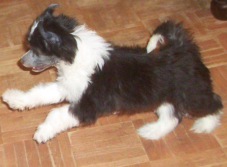 Spiritual I'll Be Haunting You