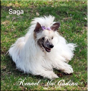 Krysolit Fairytale Dream