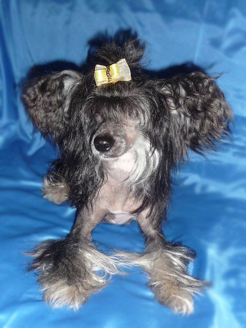 Tamerlan Beshtau Prekrasnaja v Chernom