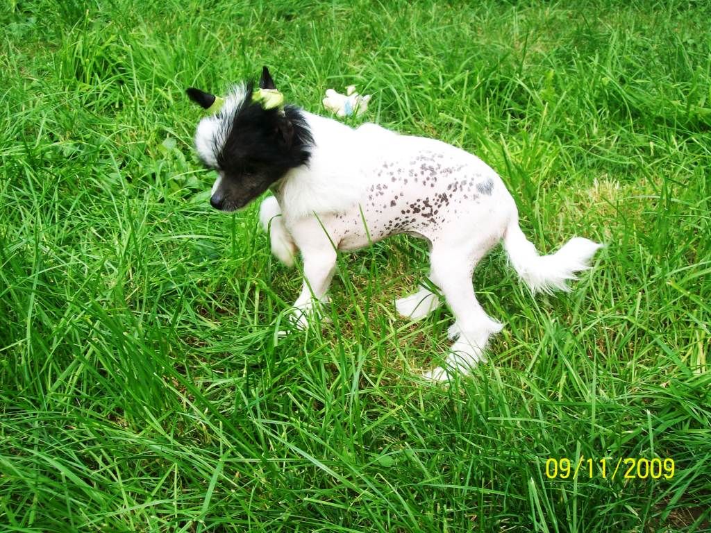 Znowy Zunday de GabriTho