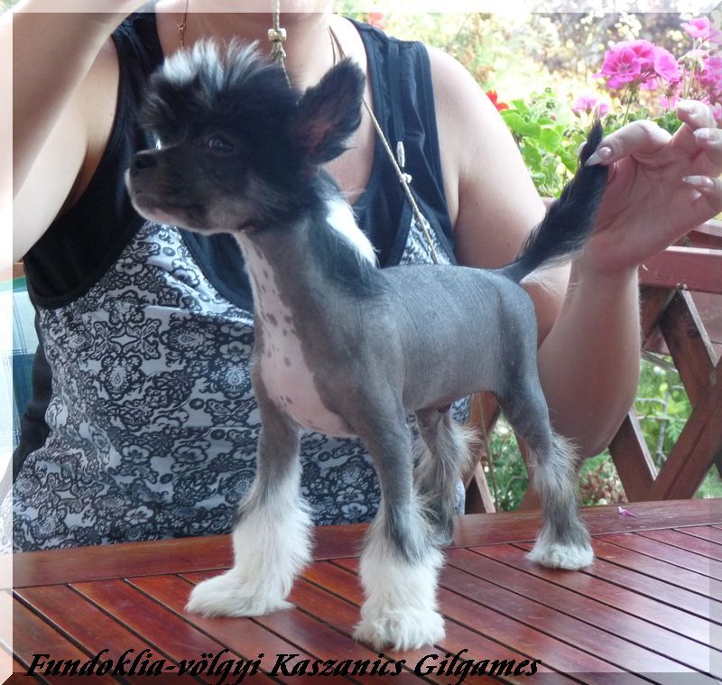 Fundoklia-völgyi Kaszanics Gilgames