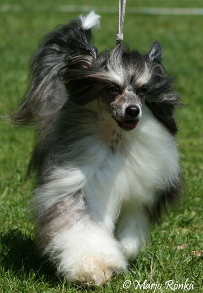 Sun-Hee's Everybody But me