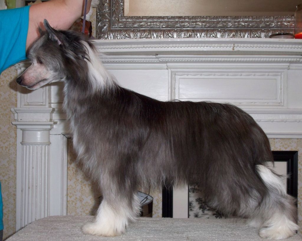 Wickhaven Pay It Forward