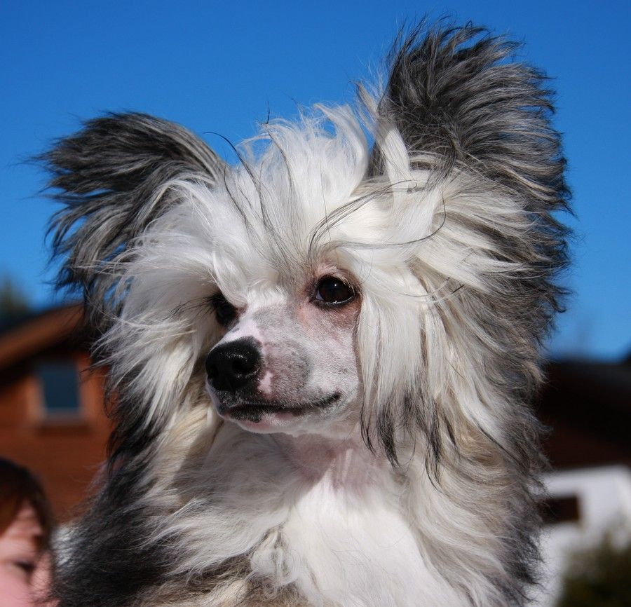 Fluffysteps Created To Seduce You