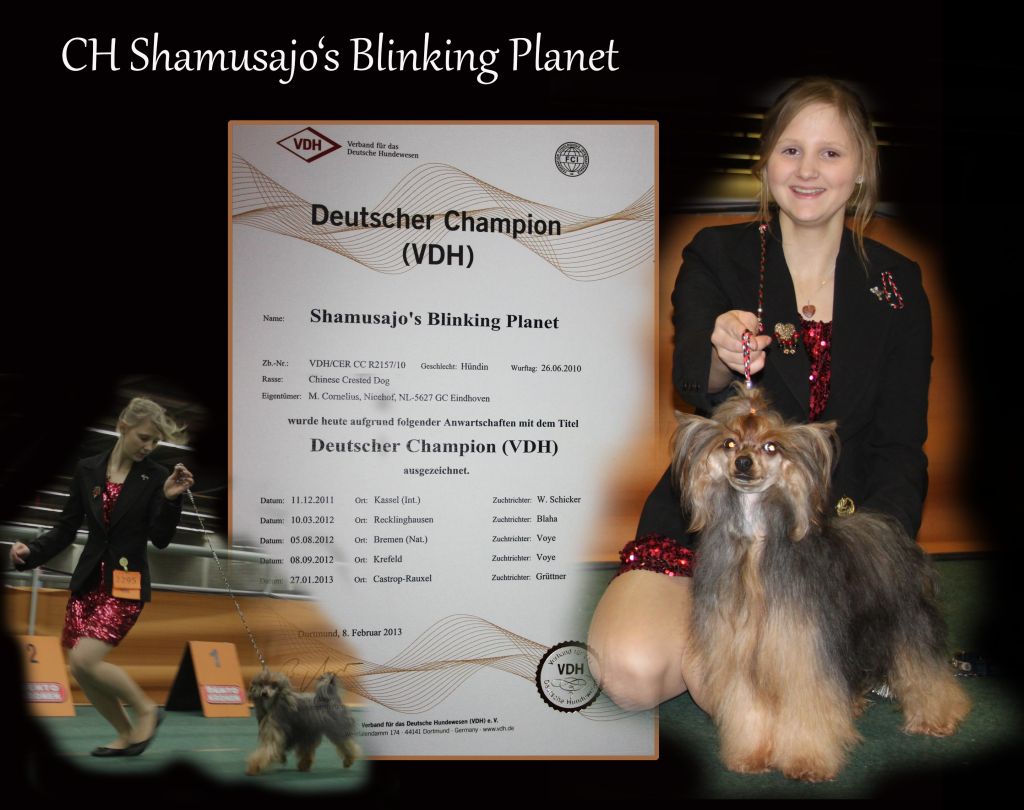 Shamusajo's Blinking Planet