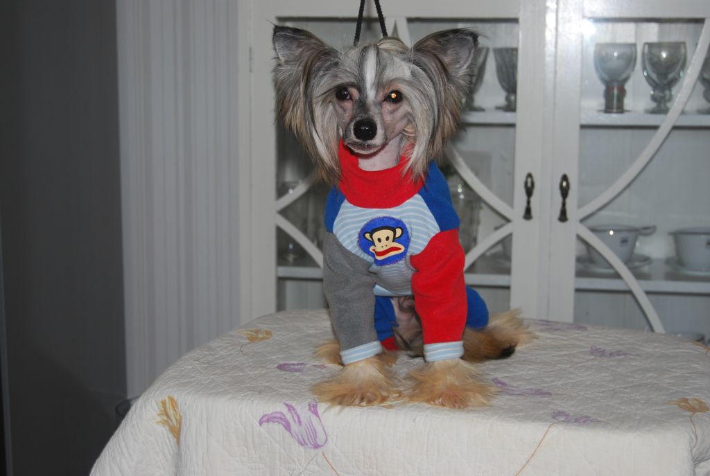 Cool Crowd's Just Brian Pumper