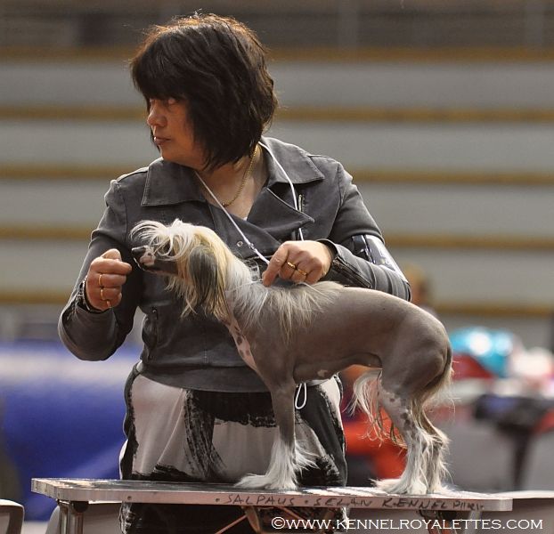 Mysterious Miracles Magnitude