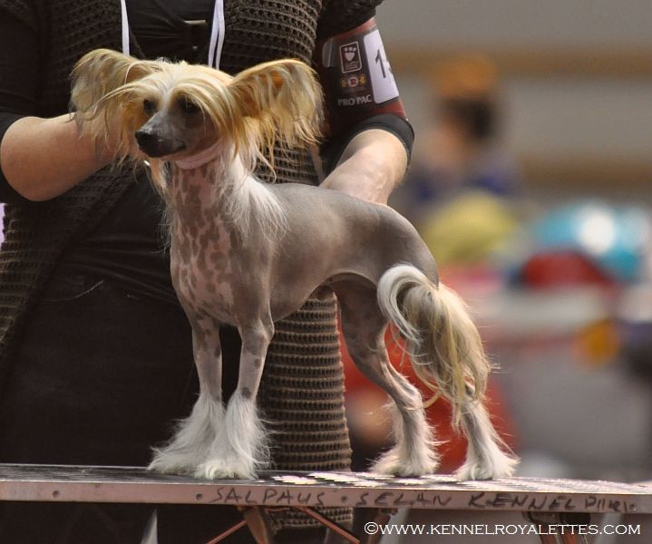 Mysterious Miracles Magnetic