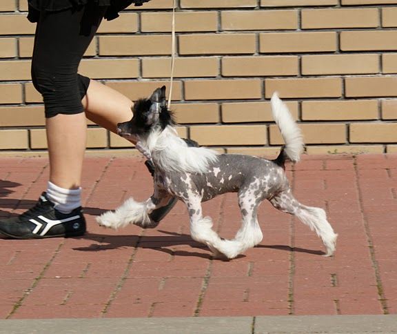 Cayenne Artagasamazis