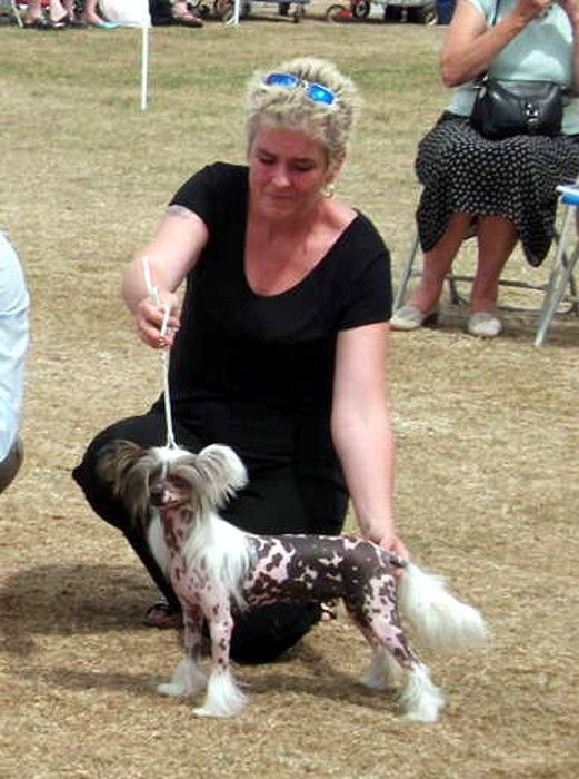 Liddyleaze Lady Godiva